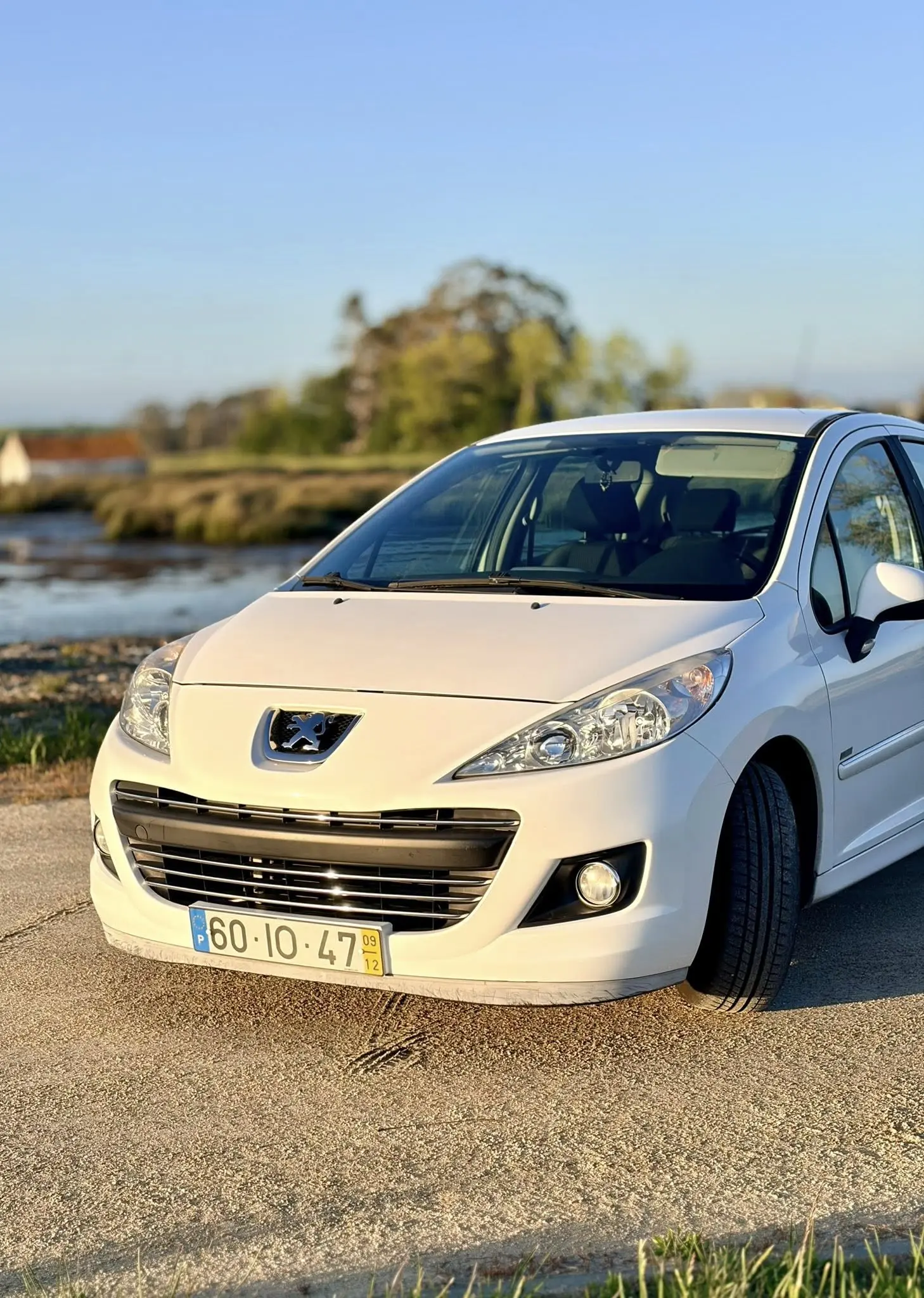 Peugeot 207 1.6 HDi 99g 6