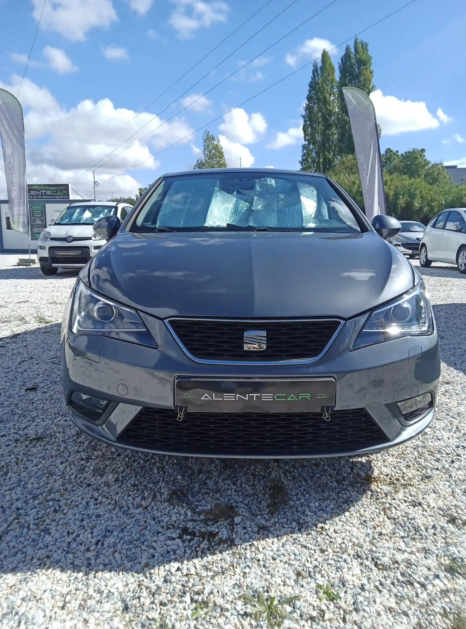 SEAT Ibiza 1.6 TDI Style 2