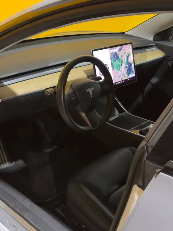 Tesla Model 3 Standard Range Plus RWD 12