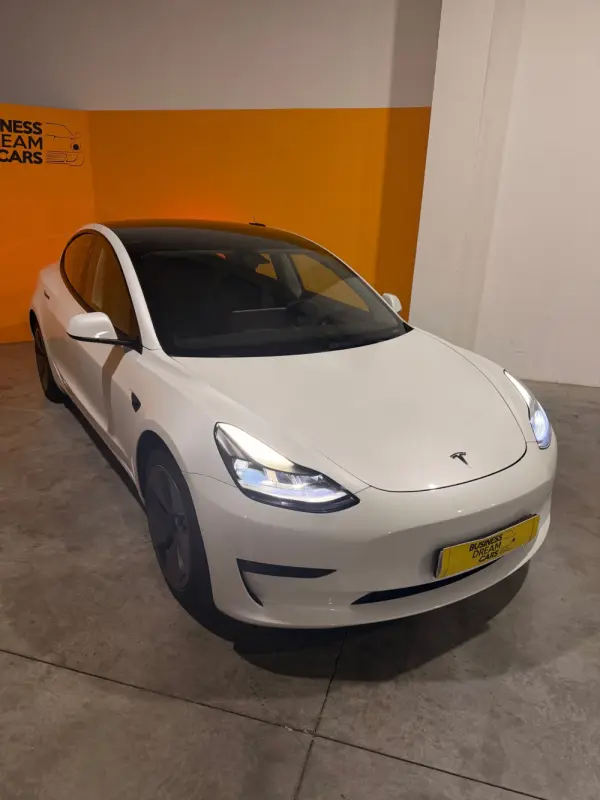 Tesla Model 3 Standard Range Plus RWD 1