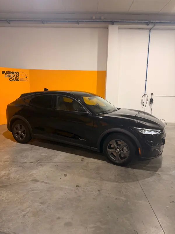 Ford Mustang Mach-E Standard 4