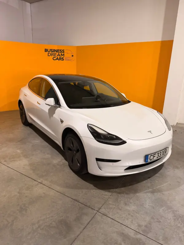 Tesla Model 3 Standard Range Plus RWD 5