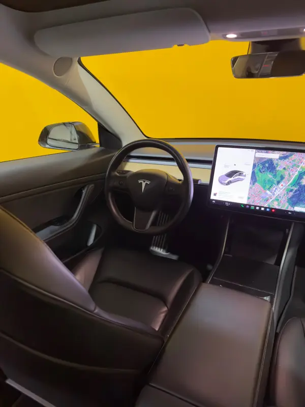 Tesla Model 3 Standard Range Plus RWD 16