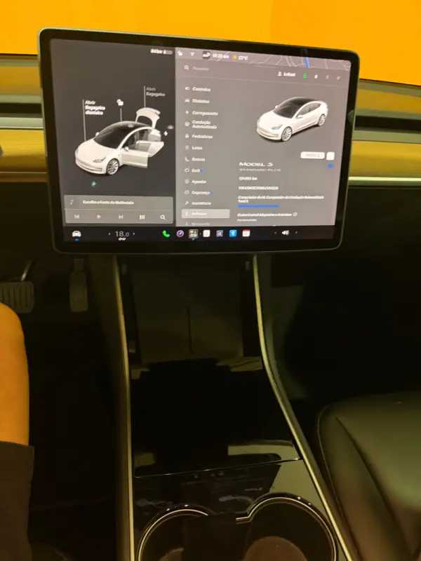 Tesla Model 3 Standard Range Plus RWD 19