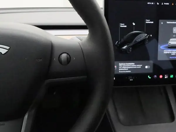 Tesla Model 3 Standard Range Plus RWD 19