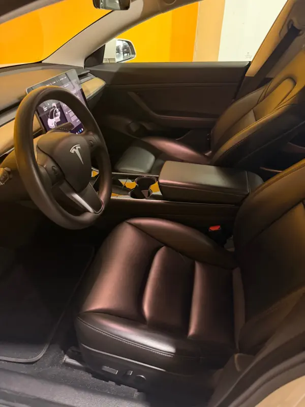 Tesla Model 3 Standard Range Plus RWD 14