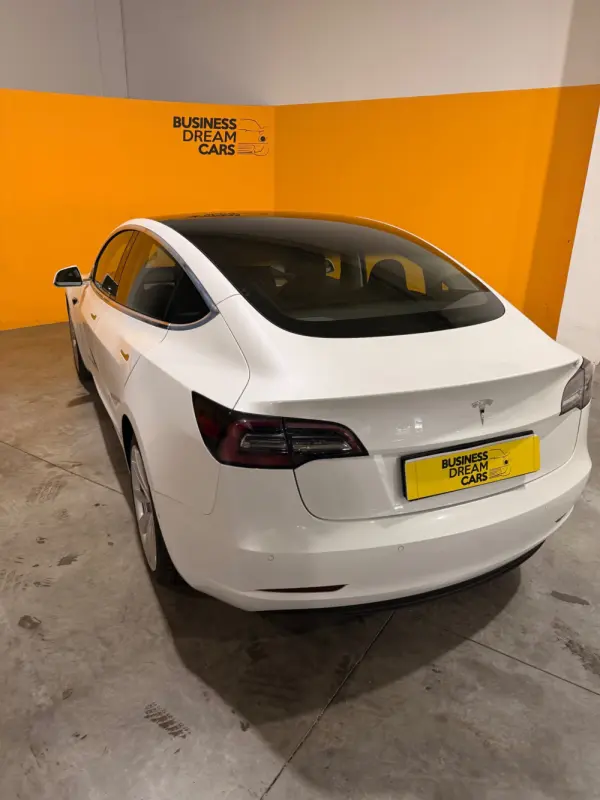 Tesla Model 3 Standard Range Plus RWD 9