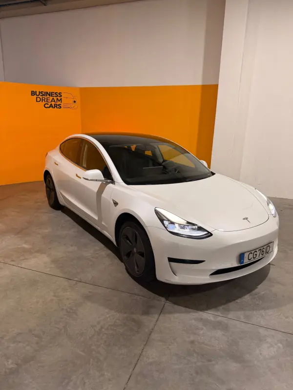 Tesla Model 3 Standard Range Plus RWD 1
