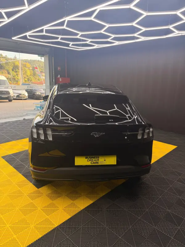 Ford Mustang Mach-E Standard 11