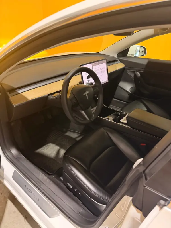 Tesla Model 3 Standard Range Plus RWD 15