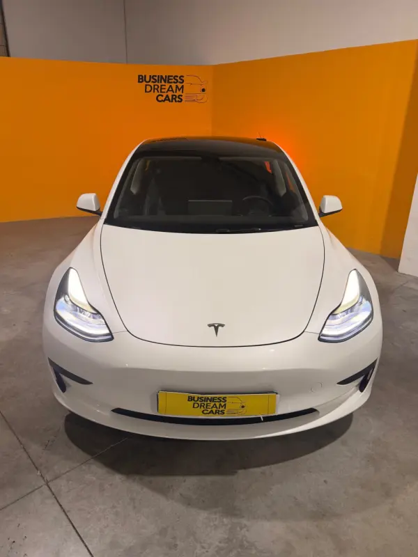 Tesla Model 3 Standard Range Plus RWD 3