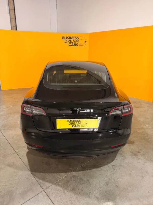 Tesla Model 3 Standard Range Plus RWD 8