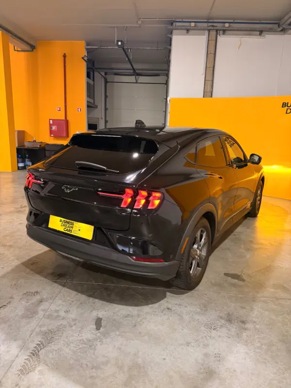 Ford Mustang Mach-E Standard 9