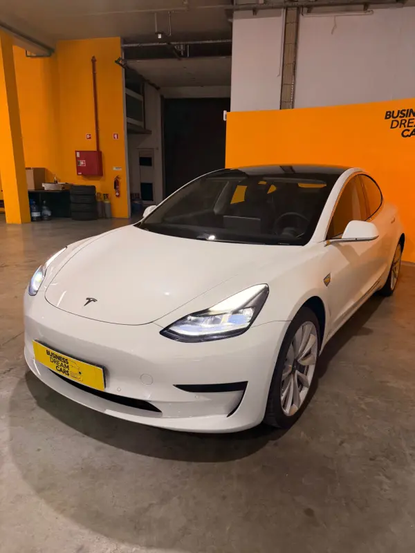 Tesla Model 3 Standard Range Plus RWD 6