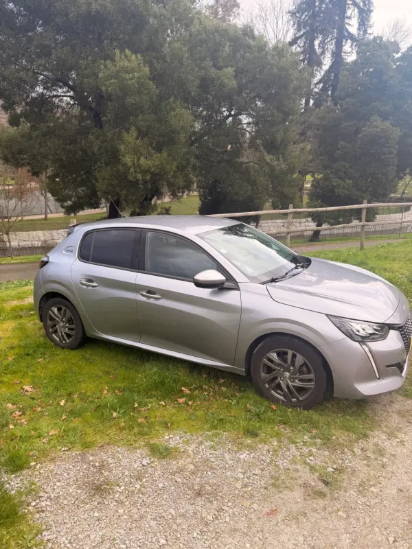 Peugeot 208 Benzin 100 Style 4