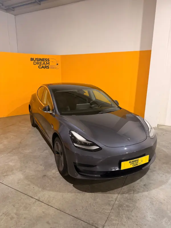 Tesla Model 3 Standard Range Plus RWD 3