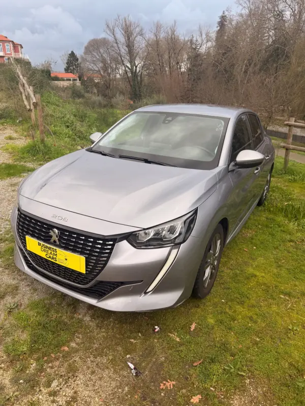 Peugeot 208 Benzin 100 Style 5