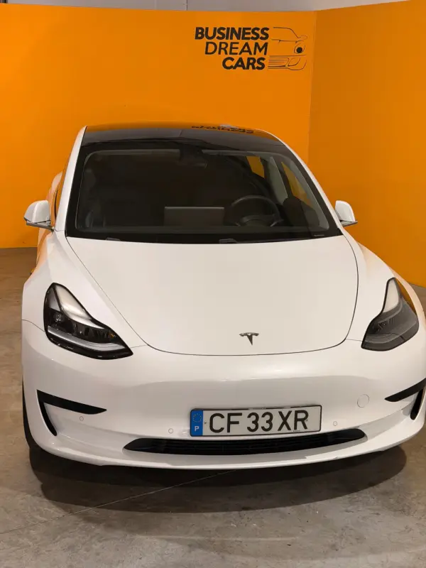 Tesla Model 3 Standard Range Plus RWD 2