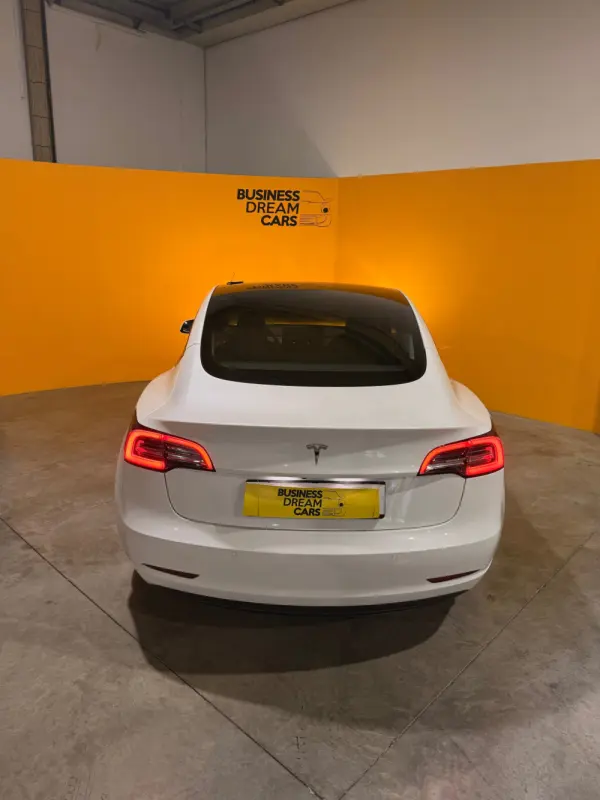 Tesla Model 3 Standard Range Plus RWD 8