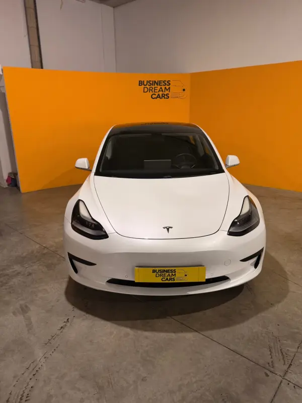 Tesla Model 3 Standard Range Plus RWD 3