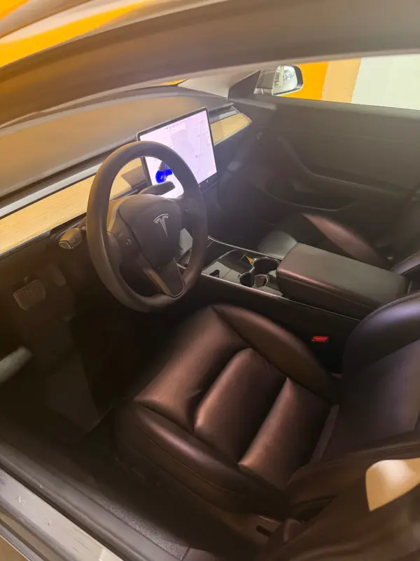 Tesla Model 3 Standard Range Plus RWD 10