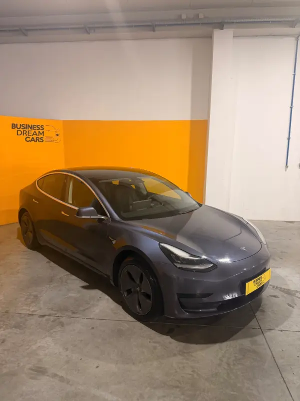 Tesla Model 3 Standard Range Plus RWD 3