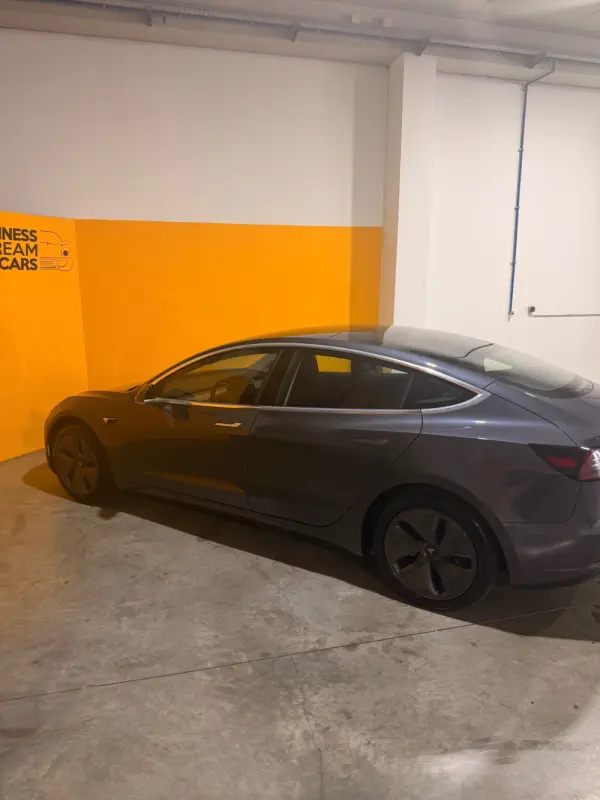 Tesla Model 3 Standard Range Plus RWD 9