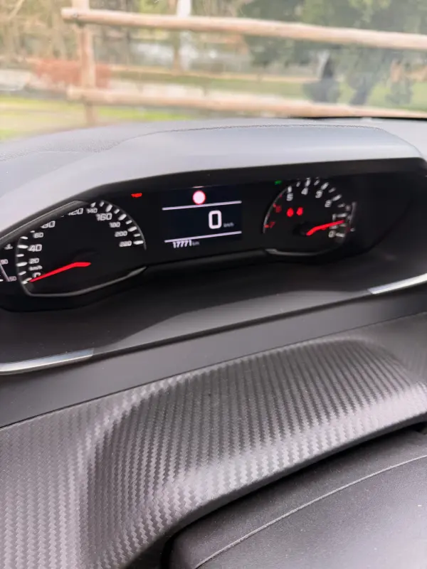 Peugeot 208 Benzin 100 Style 16