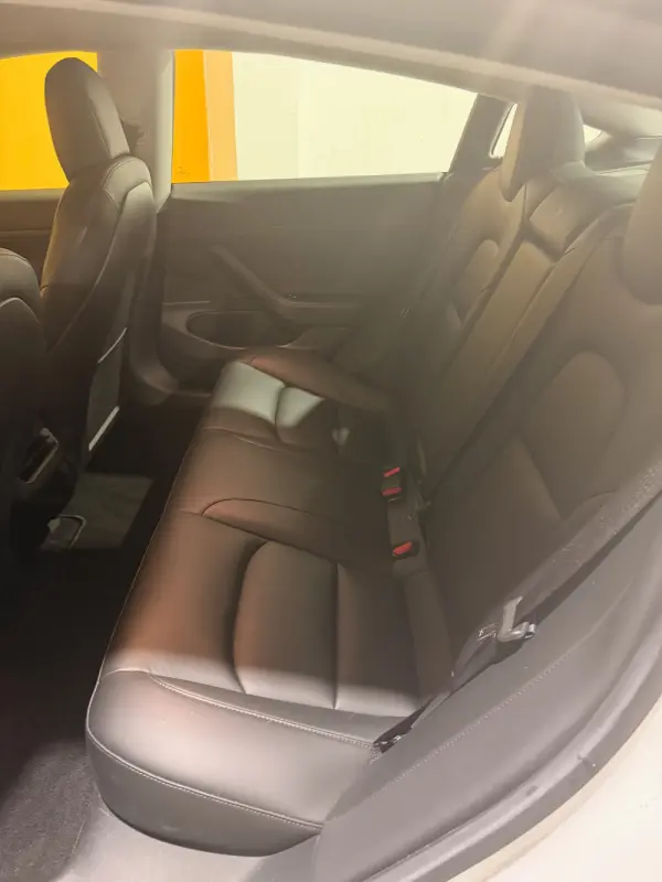 Tesla Model 3 Standard RWD Plus 19