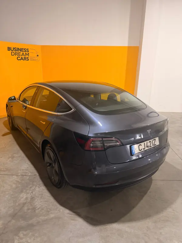Tesla Model 3 Standard Range Plus RWD 8