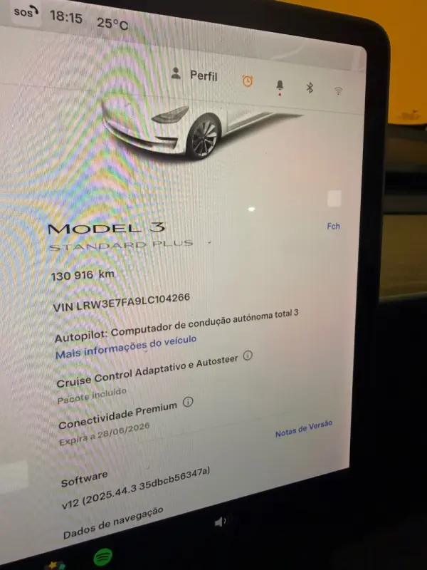 Tesla Model 3 Standard Range Plus RWD 16