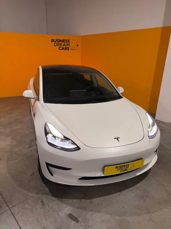Tesla Model 3 Standard Range Plus RWD 2