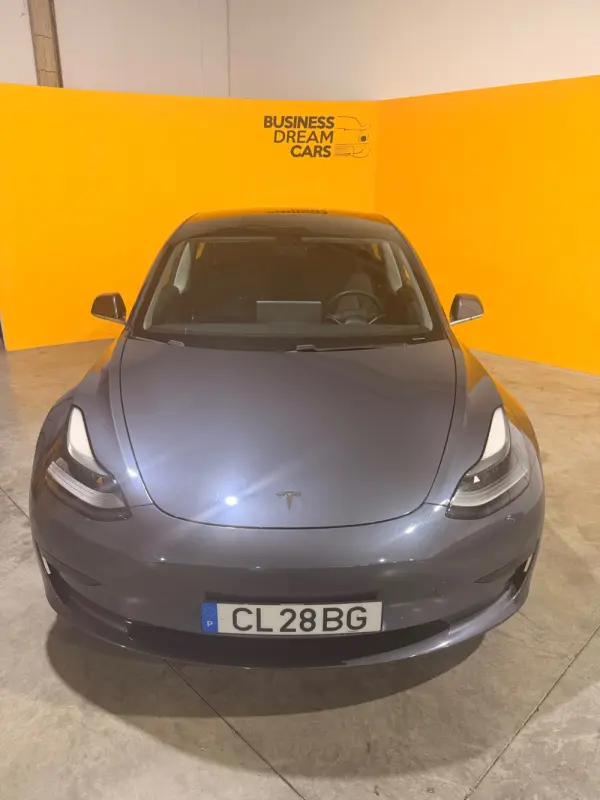 Tesla Model 3 Standard Range Plus RWD 2