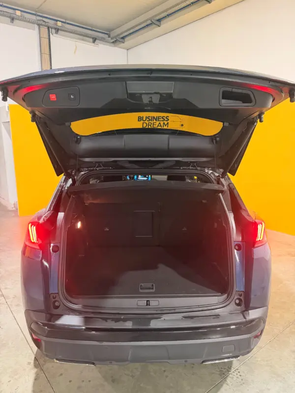 Peugeot 3008 1.6 Hybrid Allure Pack e-EAT8 14