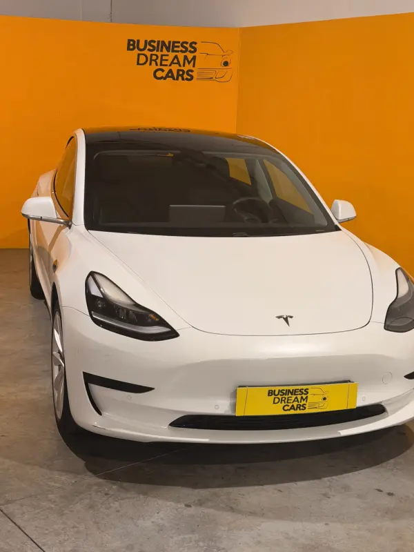 Tesla Model 3 Standard RWD Plus 7