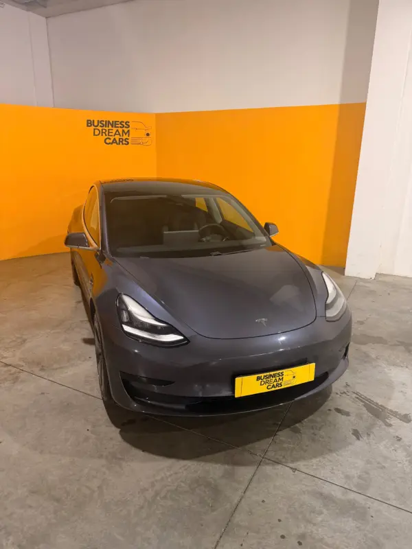 Tesla Model 3 Standard Range Plus RWD 1