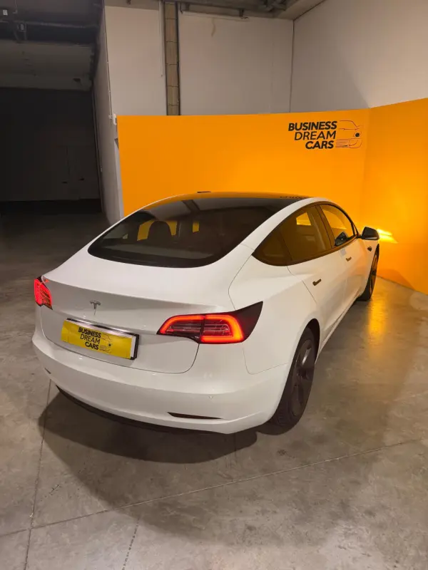 Tesla Model 3 Standard Range Plus RWD 9