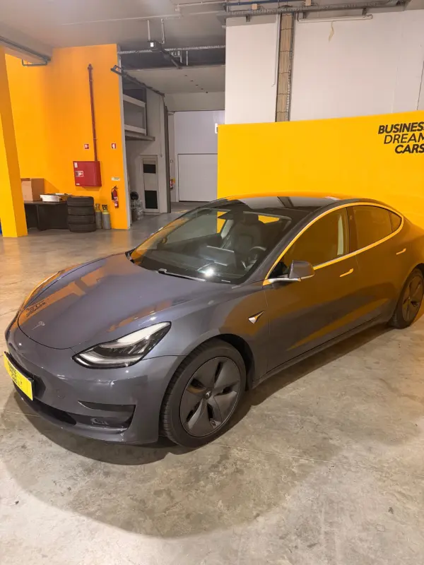 Tesla Model 3 Standard Range Plus RWD 6