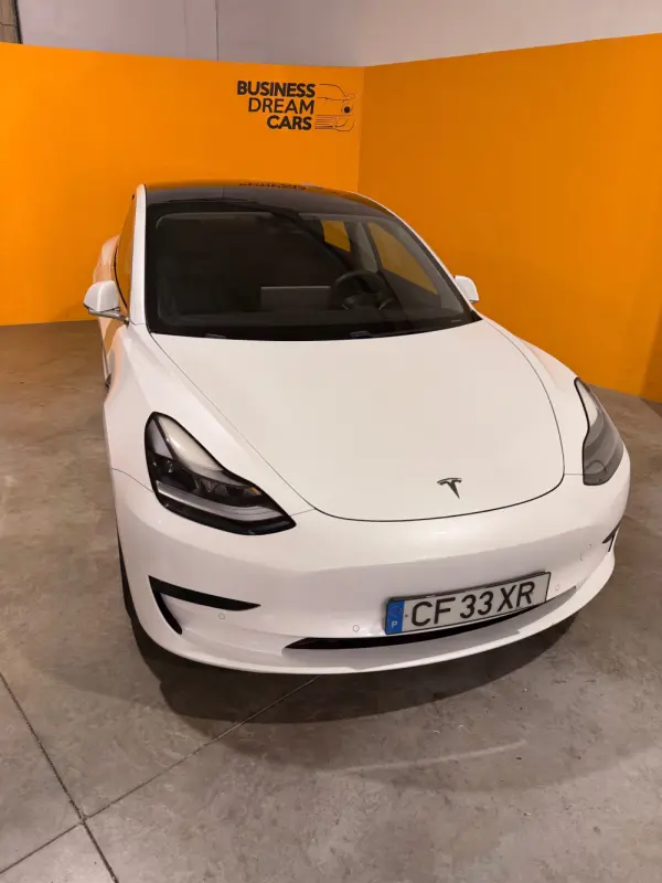 Tesla Model 3 Standard Range Plus RWD 3