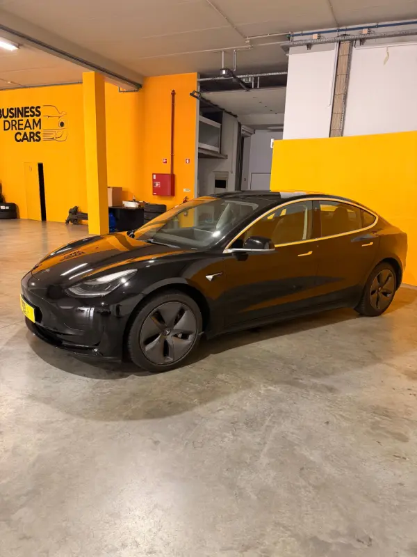 Tesla Model 3 Standard Range Plus RWD 7