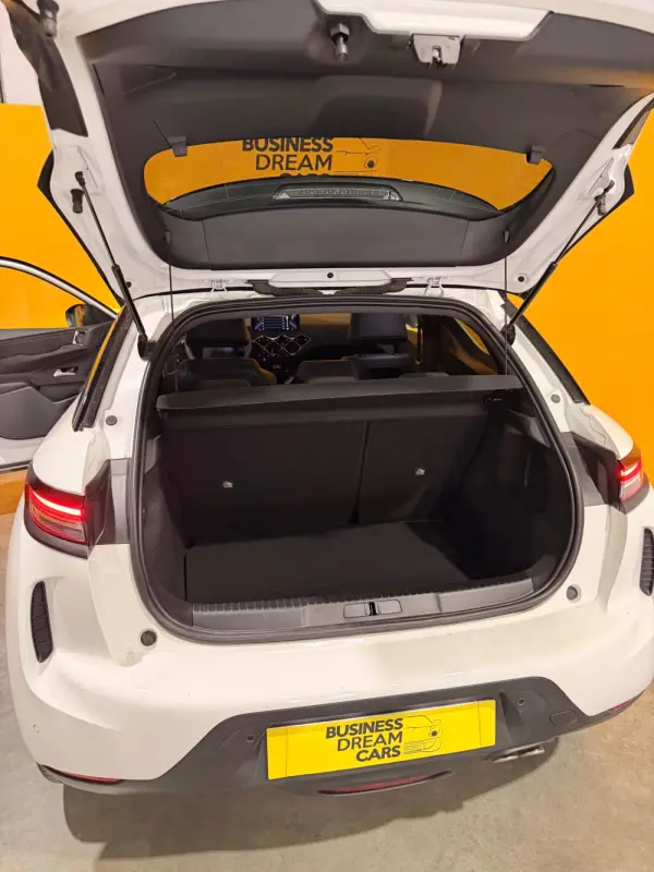 DS DS3 Crossback PureTech 130 Aut. PERFORMANCE LINE + 19