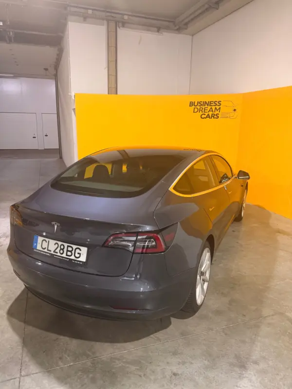Tesla Model 3 Standard Range Plus RWD 8
