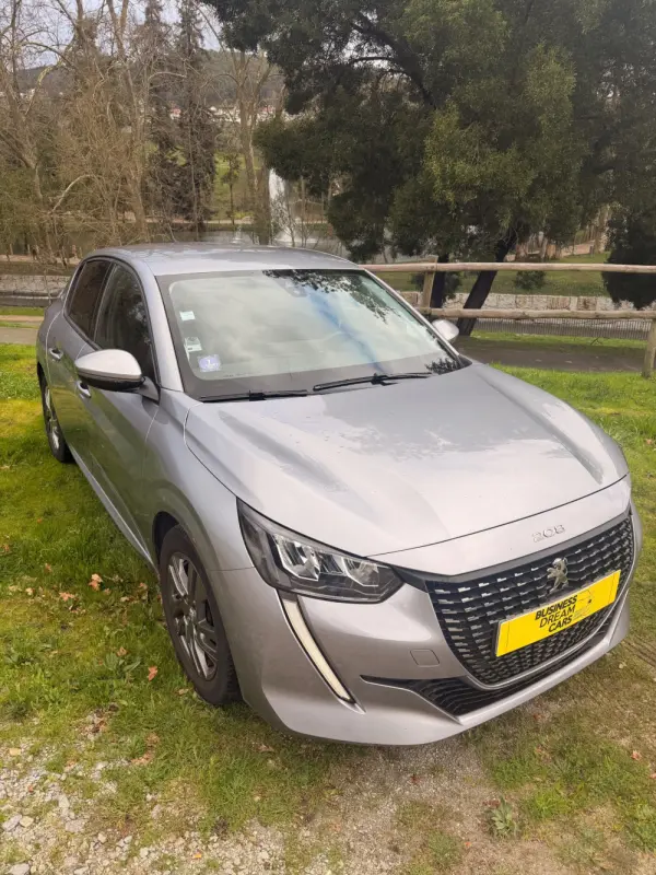 Peugeot 208 Benzin 100 Style 2