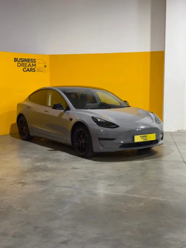 Tesla Model 3 Standard Range Plus RWD 1