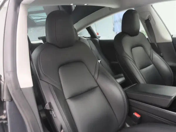 Tesla Model 3 Standard Range Plus RWD 33