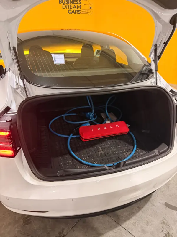 Tesla Model 3 Standard Range Plus RWD 14