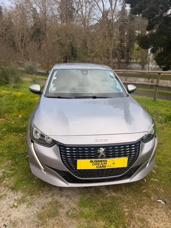 Peugeot 208 Benzin 100 Style 3