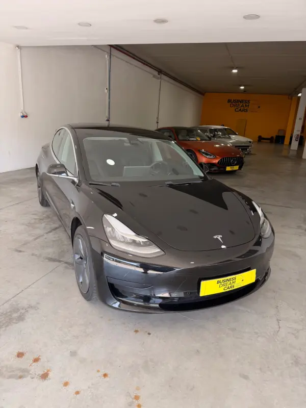 Tesla Model 3 Standard Range Plus RWD 18