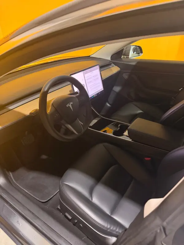 Tesla Model 3 Standard Range Plus RWD 11