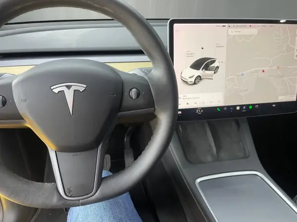 Tesla Model Y Long-Range RWD 9